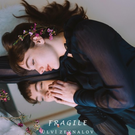 Fragile | Boomplay Music