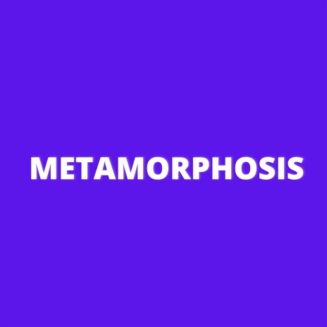 Metamorphosis | Boomplay Music