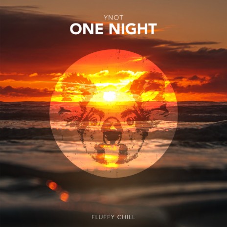 One Night | Boomplay Music