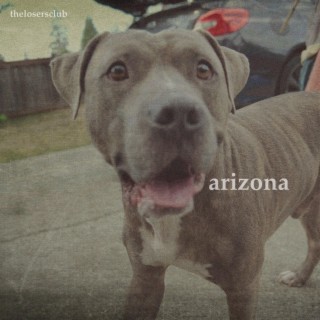 arizona lyrics | Boomplay Music