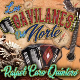 Los Gavilanes del Norte