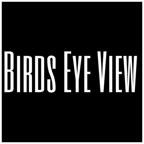 Birds Eye View | Boomplay Music