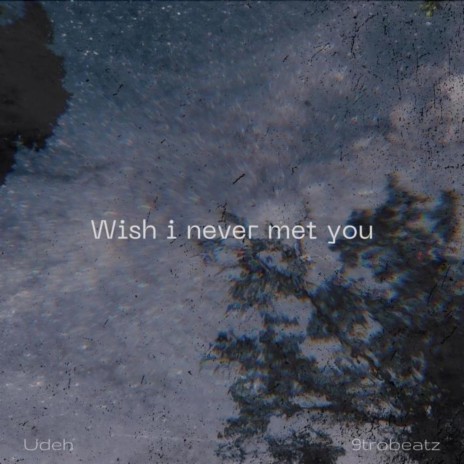 Wish I Never Met You | Boomplay Music