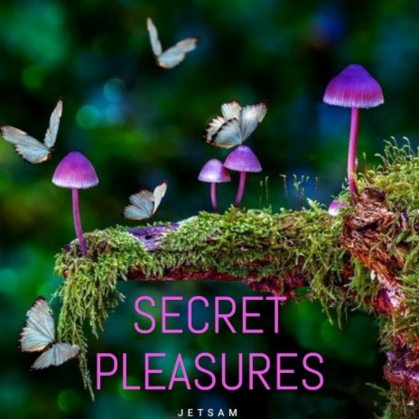 Secret Pleasures | Boomplay Music