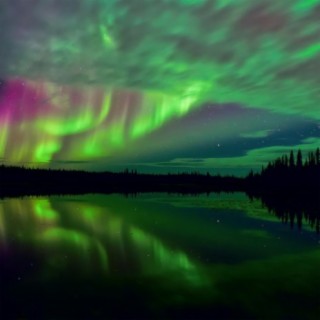 Northern Lights