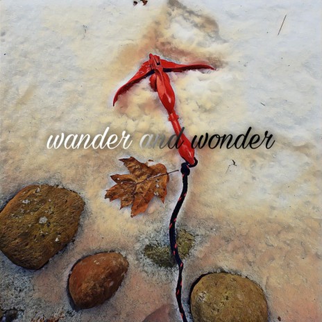 Wander and wonder | Boomplay Music