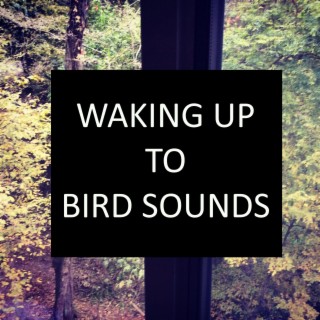 Waking up to Bird Sounds