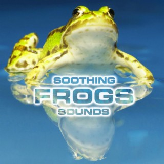 Soothing Frogs Sounds (feat. Soothing Sounds, Soothing Baby Sounds, National Geographic Soundscapes, Relaxing Nature Sound, White Noise Ambience & White Noise Sounds For Sleep)