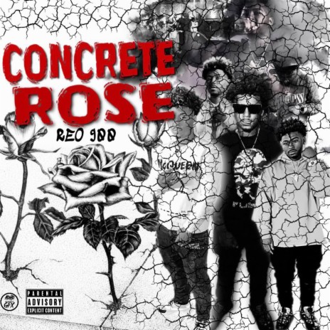 Concrete Rose | Boomplay Music