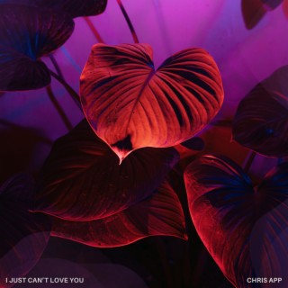 I Just Can't Love You lyrics | Boomplay Music