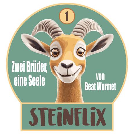 Steinflix Zwei Brüder, eine Seele | Boomplay Music