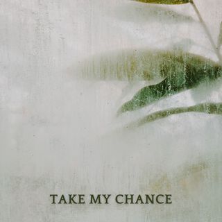 Take My Chance