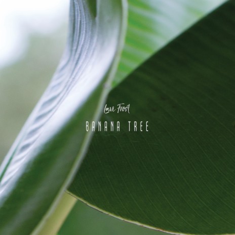 Banana Tree | Boomplay Music