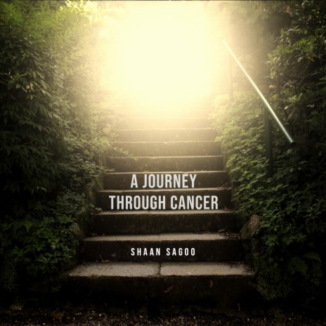 A Journey Through Cancer | Boomplay Music