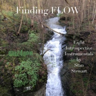 Finding Flow