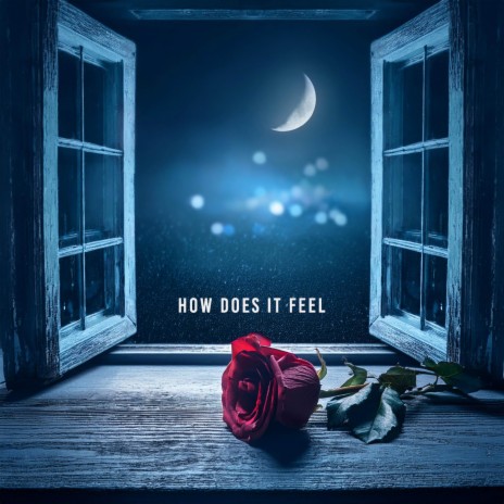 How Does It Feel ft. Erisa Nicole | Boomplay Music