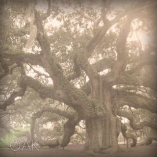 Oak