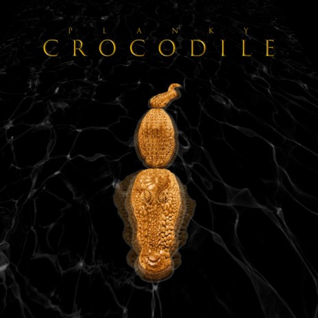 Crocodile | Boomplay Music