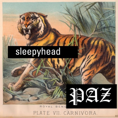 Sleepyhead | Boomplay Music