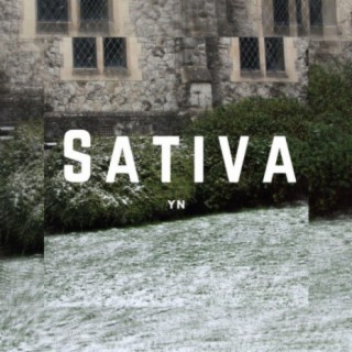 Sativa