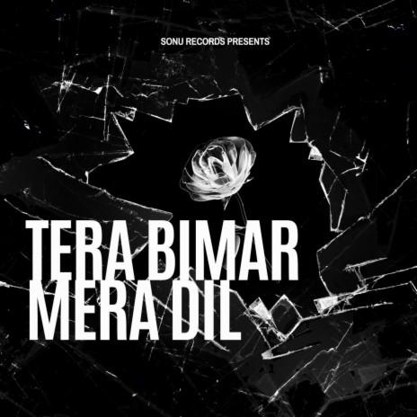 Tera Bimar Mera Dil (feat. Sourav Verma & Vikas Singh 1n) | Boomplay Music