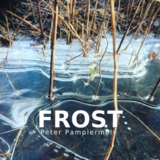 Frost