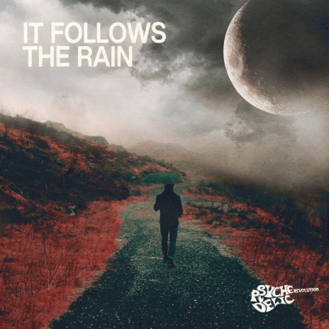 It Follows the Rain | Boomplay Music