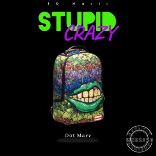 Stupid Crazy