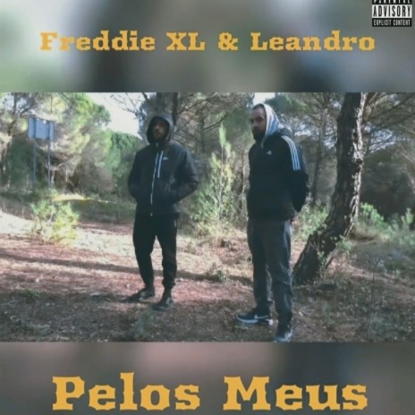 PELOS MEUS ft. Leandro | Boomplay Music