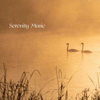 Serenity Music