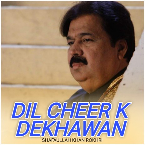 Dil Cheer K Dekhawan | Boomplay Music