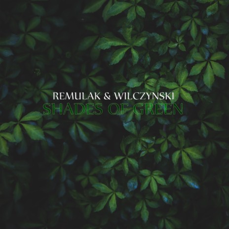 Shades of Green ft. Remulak | Boomplay Music