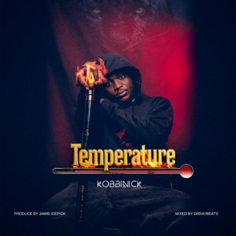 Temperature | Boomplay Music