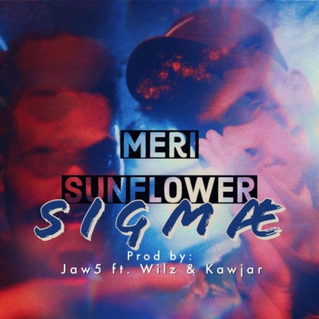 Meri Sunflower | Boomplay Music