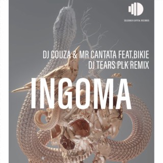 Ingoma (DJ Tears PLK Soulful Remix)