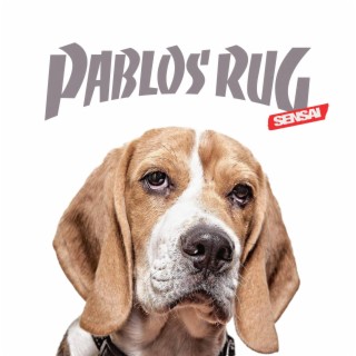 Pablos rug