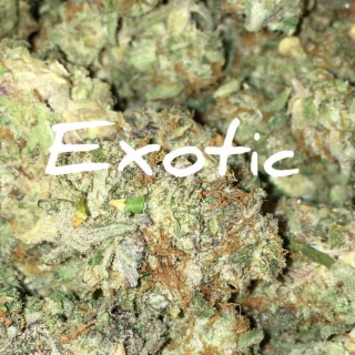 Exotic