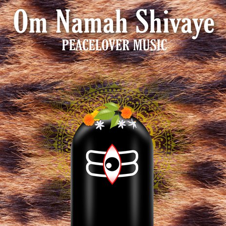 Om Namah Shivaye | Boomplay Music