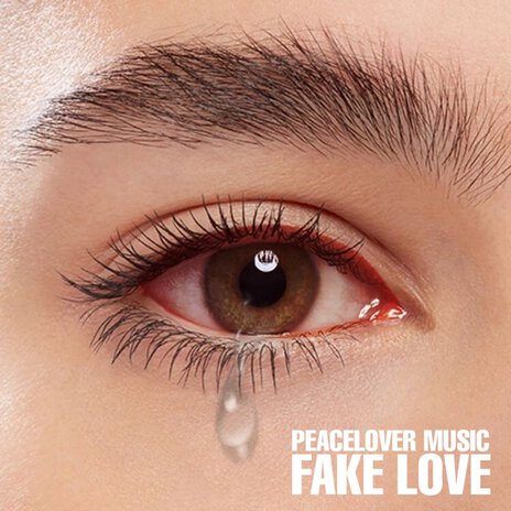 Fake Love | Boomplay Music