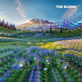 The Bloom