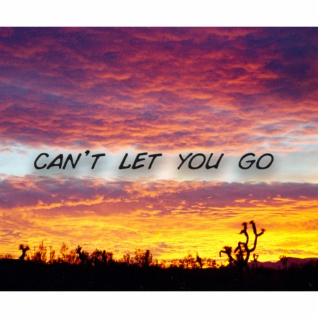 Can't Let You Go