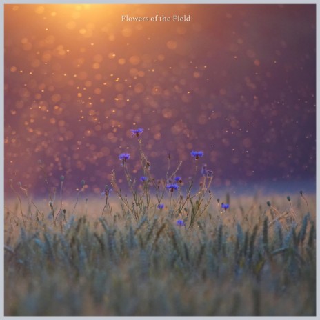 Flowers of the Field | Boomplay Music
