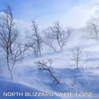 White Noise Ambience