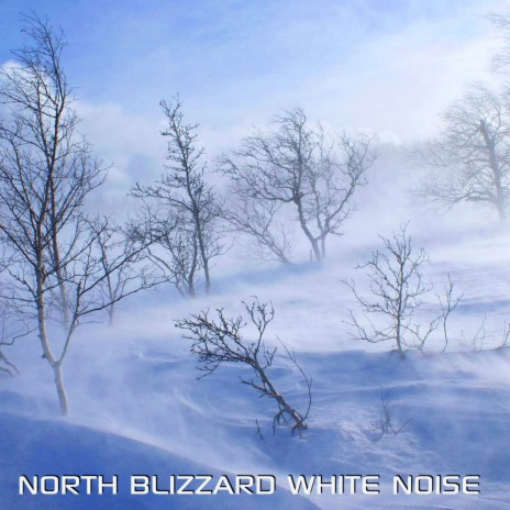 North Wind White Noise (feat. National Geographic Soundscapes, White Noise Sounds For Sleep, Relaxing Nature Sound, Soothing Baby Sounds, Soothing Sounds & Arctic Deep Night Blizzard) | Boomplay Music