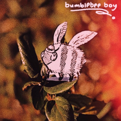bumblebee boy