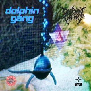 Dolphin Gang Instrumentals, Vol. 2