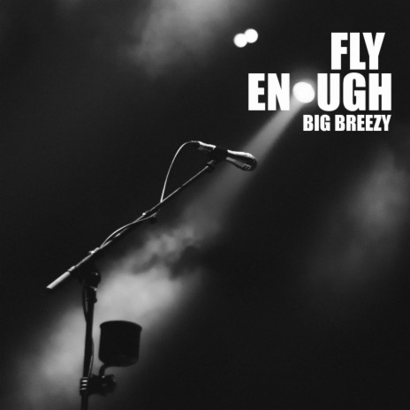 Fly Enough | Boomplay Music