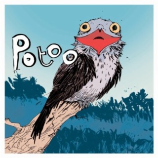 Potoo