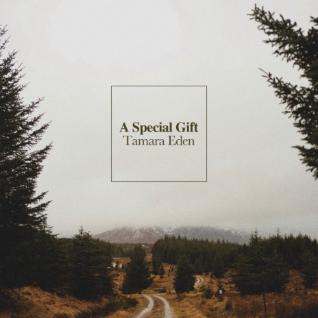 A Special Gift | Boomplay Music