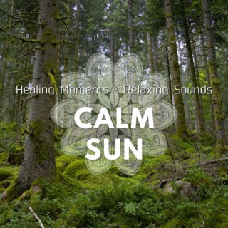 Healing Moments - Relaxing Sounds